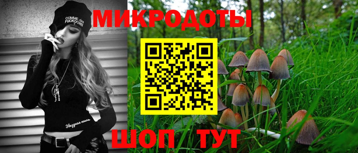 Галлюциногенные грибы GOLDEN TEACHER  где найти   Курчатов  Вход с VPN 