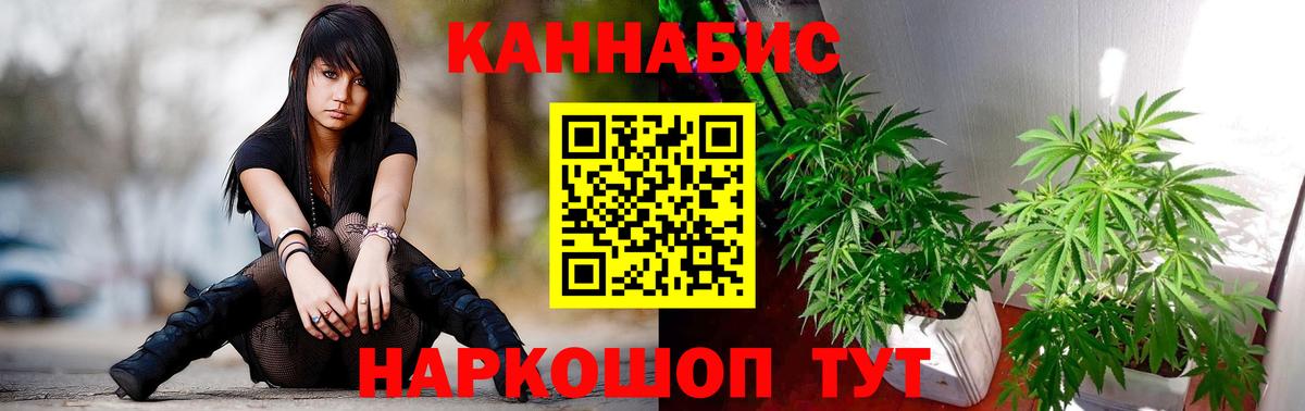 Курчатов  Шишки марихуана LSD WEED  Марихуана ГИДРОПОН  Вход с VPN  Шишки марихуана гибрид 